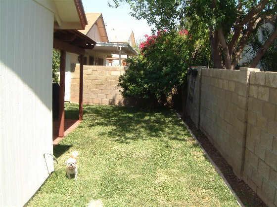 1567 W Javelina Ave., Mesa, AZ 85202