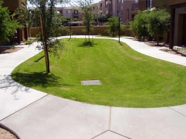 1702 E Bell Rd. #118, Phoenix, AZ 85022
