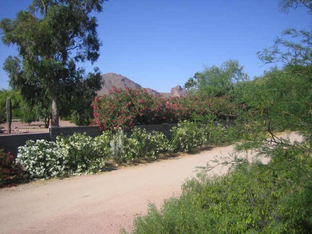 7115 N Mockingbird Ln., Paradise Valley, AZ 85253