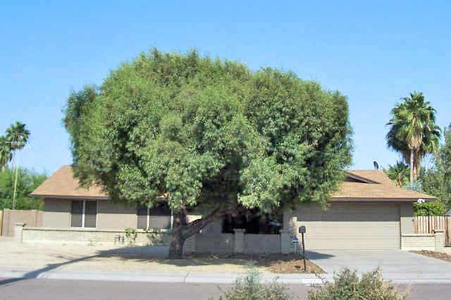 11217 N 40th St., Phoenix, AZ 85028