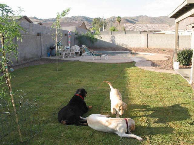 8227 S 18th St., Phoenix, AZ 85042