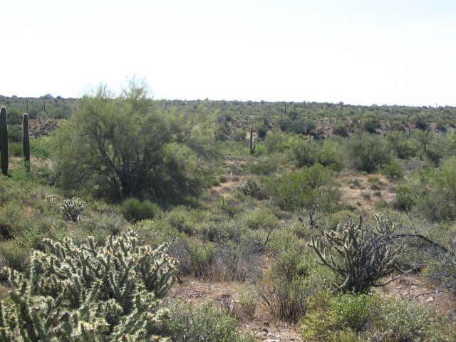 N Beardsley Rd., Wickenburg, AZ 85390