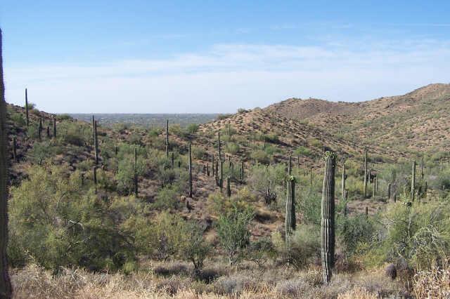 4900 E Old Stage Rd. #-, Cave Creek, AZ 85331