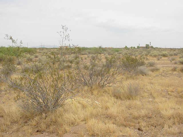 35050 W Siesta (approx) Way #219, Tonopah, AZ 85354