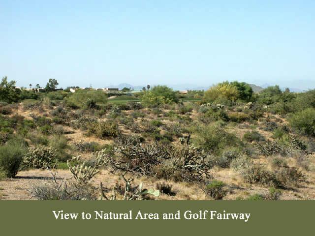 37905 N 95th Way #200, Scottsdale, AZ 85262