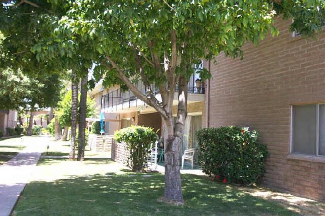 1901 E Missouri Ave. #206, Phoenix, AZ 85016