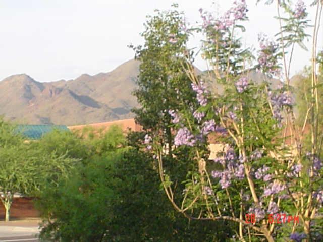 15380 N 100th St. #2131, Scottsdale, AZ 85260