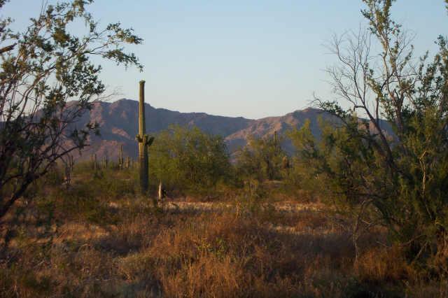 41235 W Mountain View Rd. #48, Tonto Village, AZ 85354