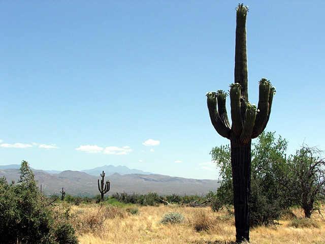 301 N 170th West Lot St. #West, Rio Verde, AZ 85263