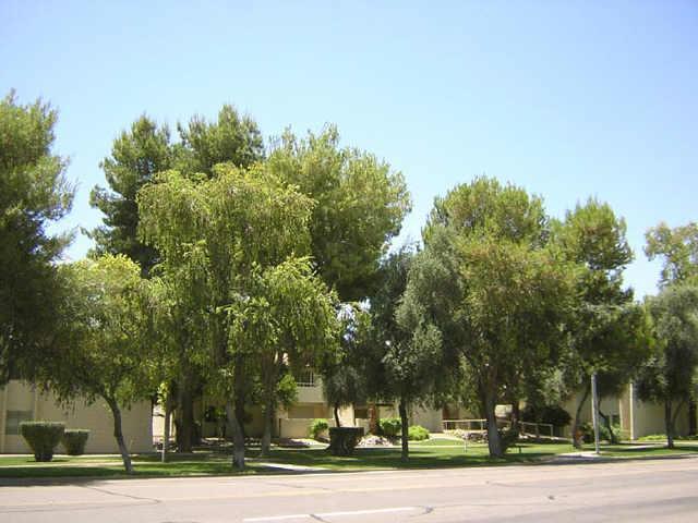 8055 E Thomas Rd. #E-114, Scottsdale, AZ 85251