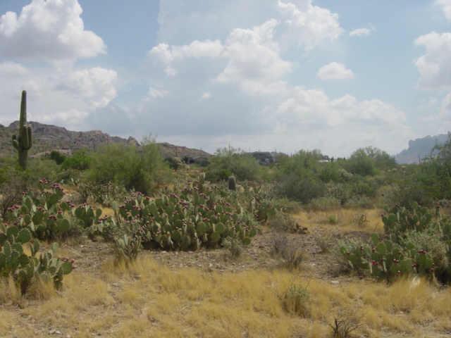 N Ironwood Dr. #B, Apache Junction, AZ 85220