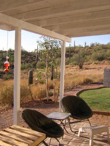 40819 N 7th St., Phoenix, AZ 85086