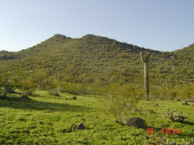 355 N 17 Ave. #3, Desert Hills, AZ 85086