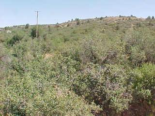 17008 W Trap Rd. #42, Peeples Valley, AZ 86332