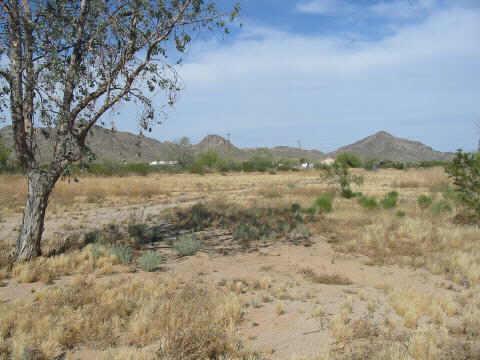 N Allegro Rd. #1, Maricopa, AZ 85239