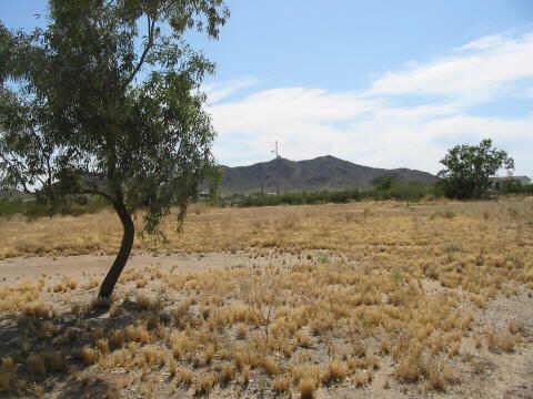 N Allegro Rd. #2, Maricopa, AZ 85239