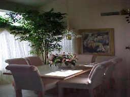 6660 E Riverdale St., Mesa, AZ 85215