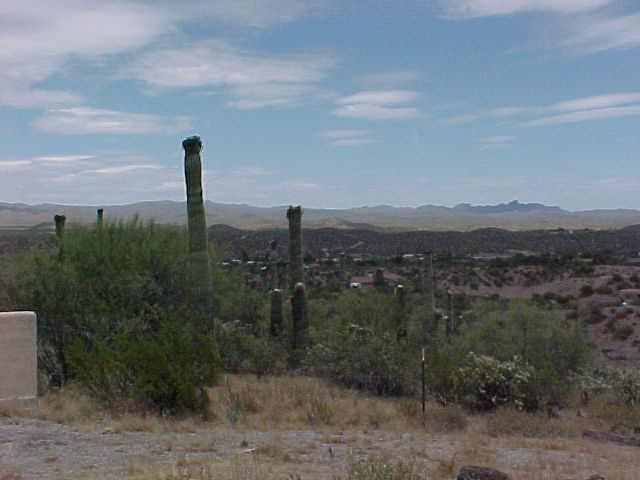 31231 W Amaranth (95 W. Amaranth) Dr., Wickenburg, AZ 85390