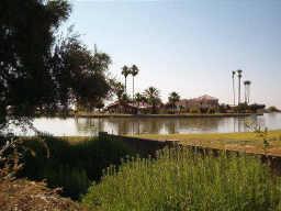 15896 S Hilo ' Lake Lot' Cir. #784, Arizona City, AZ 85223