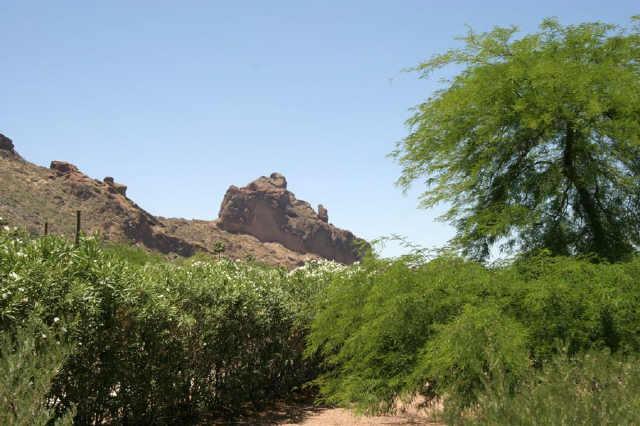 5910 E Mcdonald Dr., Paradise Valley, AZ 85253