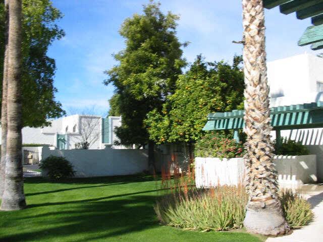 8554 E Indian School Rd. ##F, Scottsdale, AZ 85251