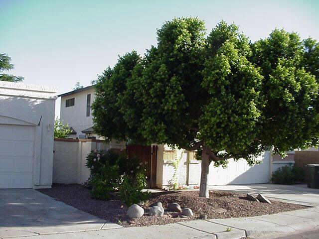 4811 W Wahalla Ln., Glendale, AZ 85308