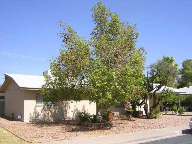 465 N Standage St., Mesa, AZ 85201