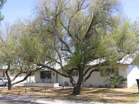 1405 E Don Carlos Ave., Tempe, AZ 85281