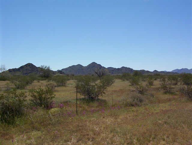 26037 S 195th Ave., Buckeye, AZ 85236