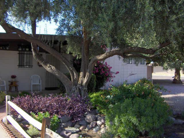 3602 W Townley Ave., Phoenix, AZ 85051