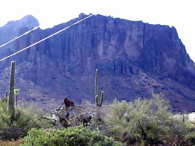 5859 E Reavis St. #D, Apache Junction, AZ 85219