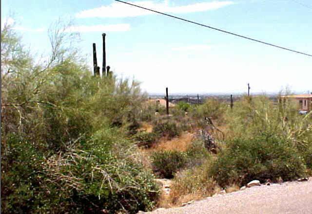 5859 E Reavis St. #C, Apache Junction, AZ 85219