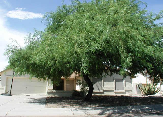 8732 W Golden Ln., Peoria, AZ 85345