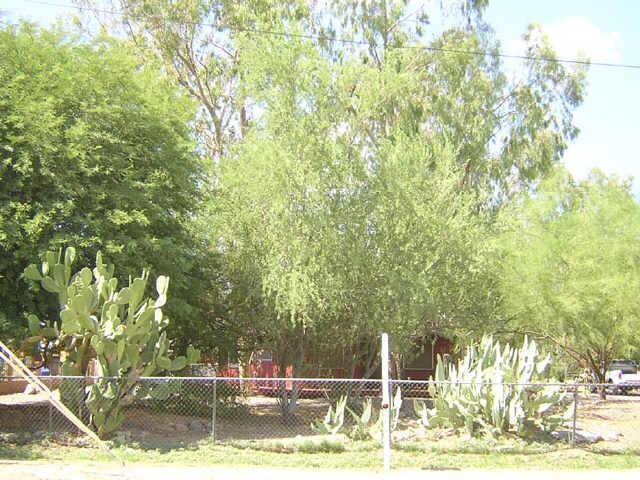 522 E Lehi Rd., Mesa, AZ 85203