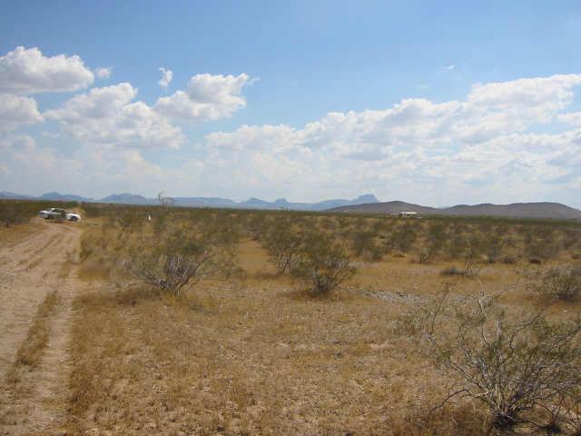 W 333&calwell Ave. #572, Arlington, AZ 85322