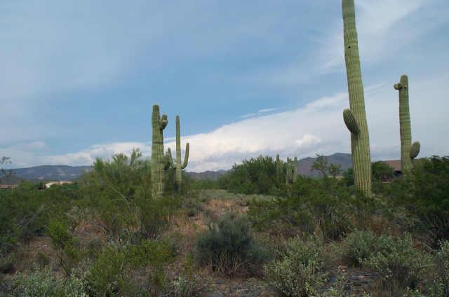 41000 N 56 St., Cave Creek, AZ 85331