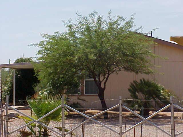 2765 W Tepee St., Apache Junction, AZ 85120