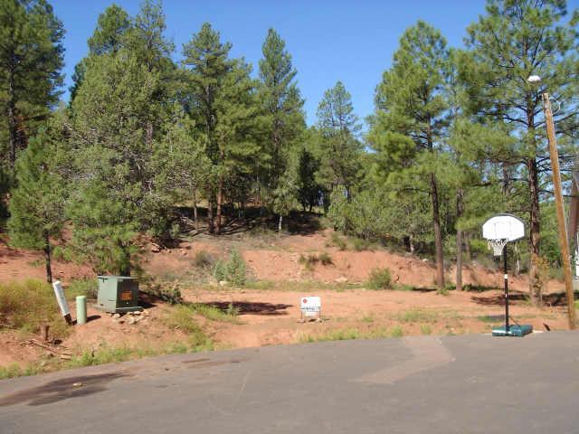 135 N 36th Dr., Show Low, AZ 85901