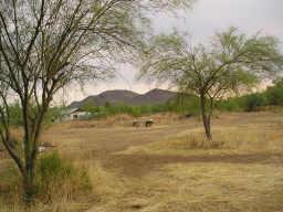 37238 N 7th Ave., Desert Hills, AZ 85086