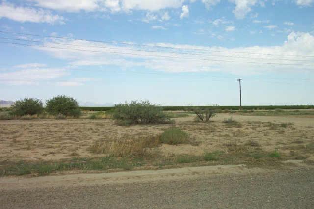 15920 W Animas Dr. ##10, Arizona City, AZ 85223