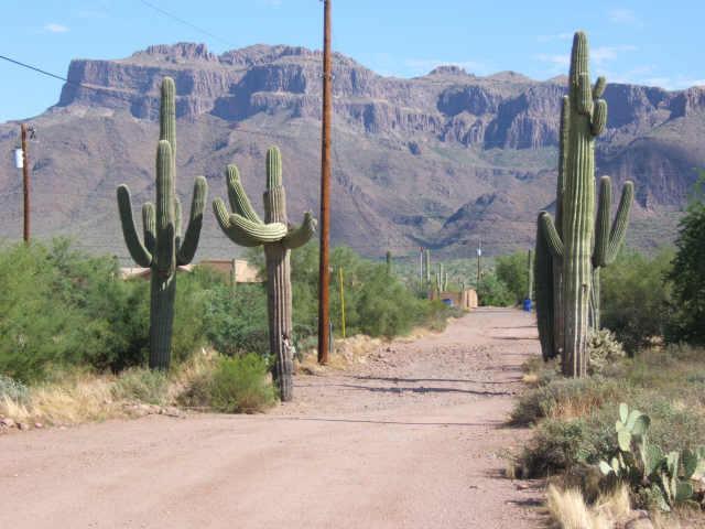 2827 S Prickly Point Rd. #90, Gold Canyon, AZ 85218