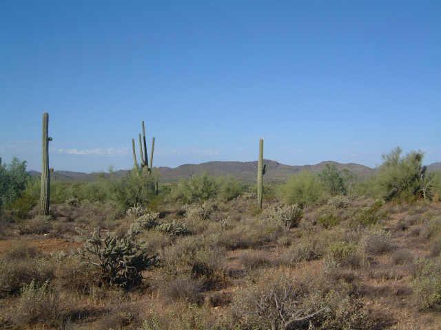 SE 7 Miles Of Wickenburg Rd. #1, Wickenburg, AZ 85390
