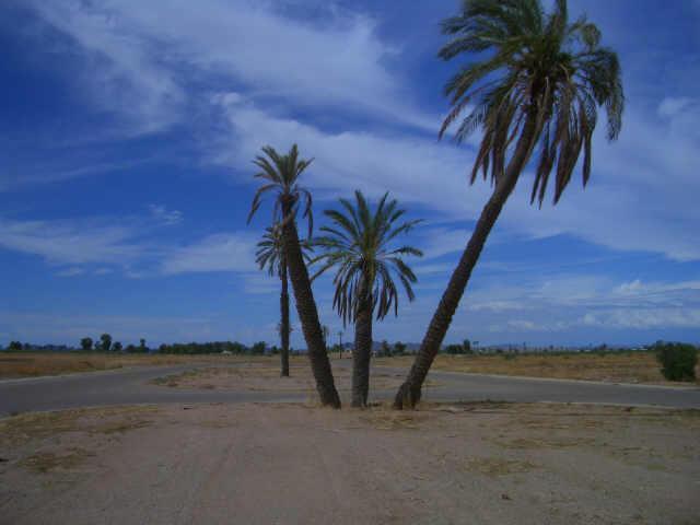 W Estanquillo Dr. #1182, Casa Grande, AZ 85222