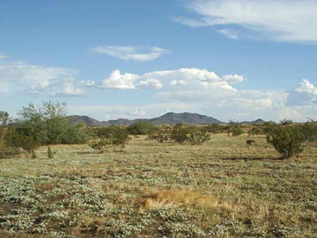 4800 N 426th Ave. #280, Tonopah, AZ 85354