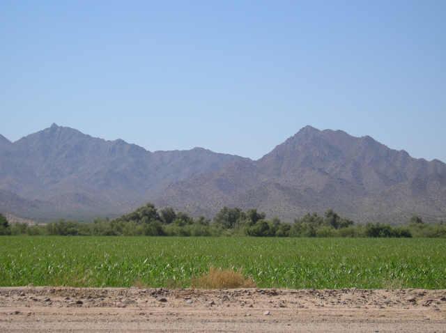 W Southern & Elmirage Rd., Avondale, AZ 85323