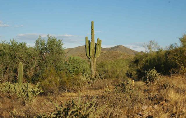 3800 W Jenny Lin 2 Acres Rd. #1, New River, AZ 85087