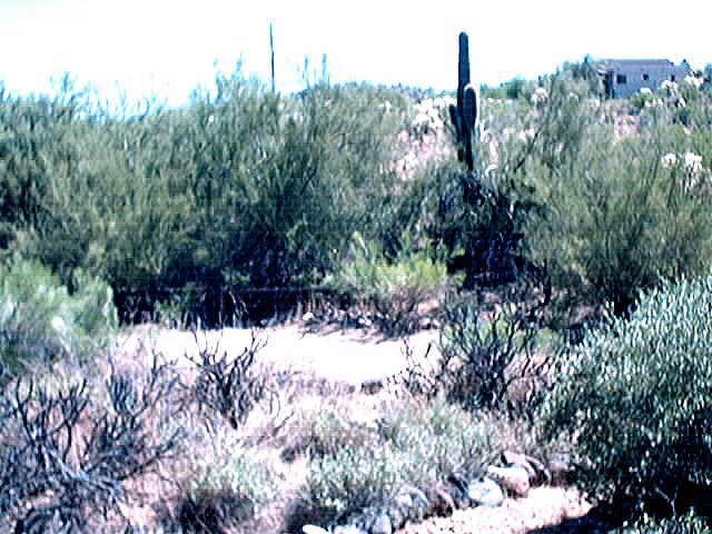 43417 N 3rd St. #B, Phoenix, AZ 85087