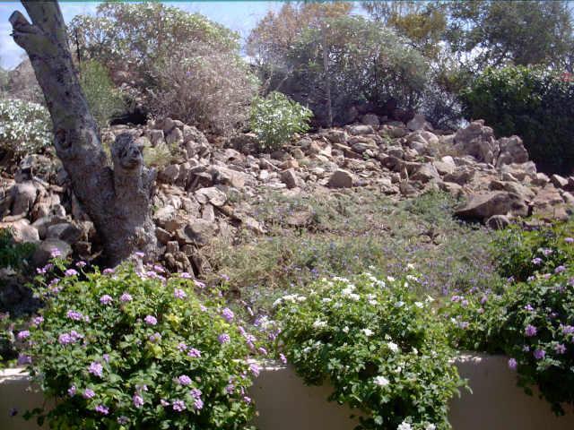 15024 E Tequesta Ct., Fountain Hills, AZ 85268