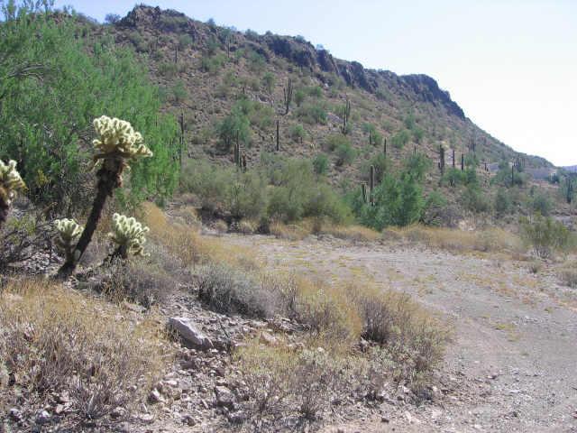 430 N 7th Lot C St. #C, Desert Hills, AZ 85087