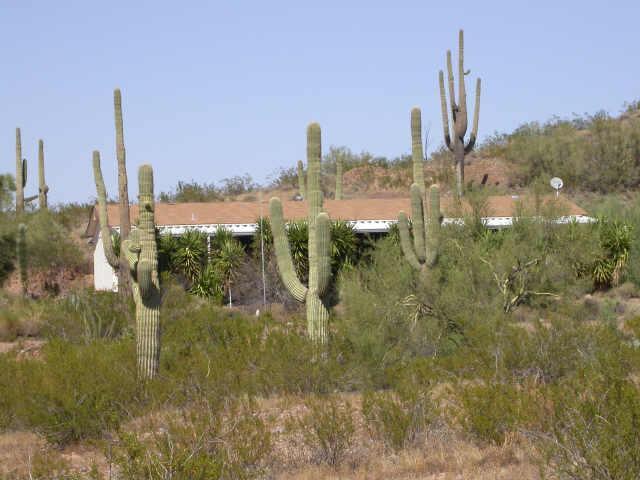 35439 W Carefree Way, Wickenburg, AZ 85390